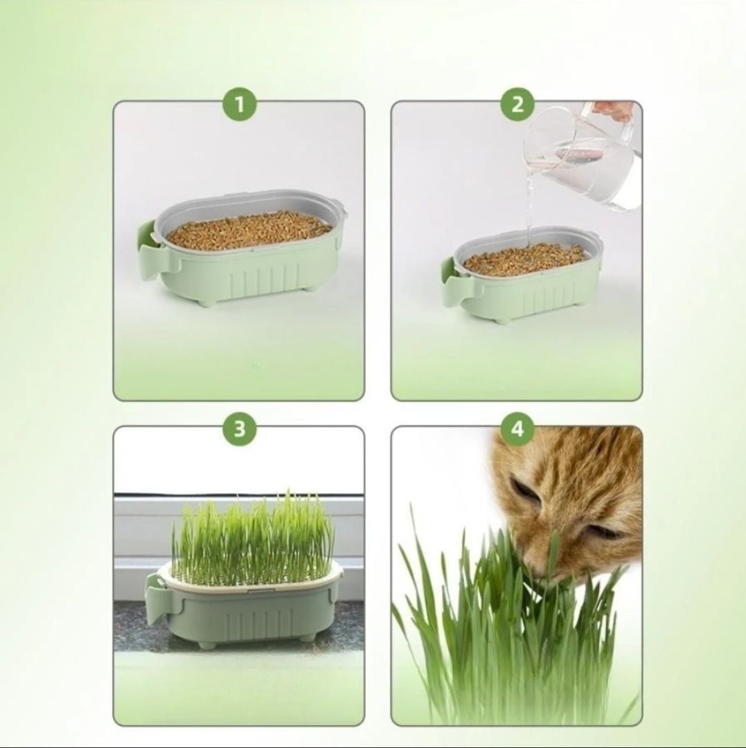 Купичка за трева за котки