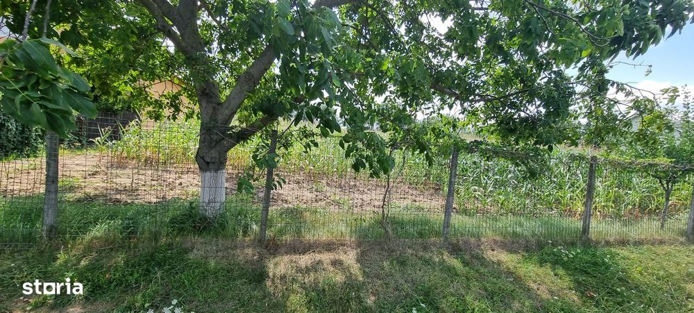 Teren intravilan in Zaicesti zona Conacului cu latura de padure