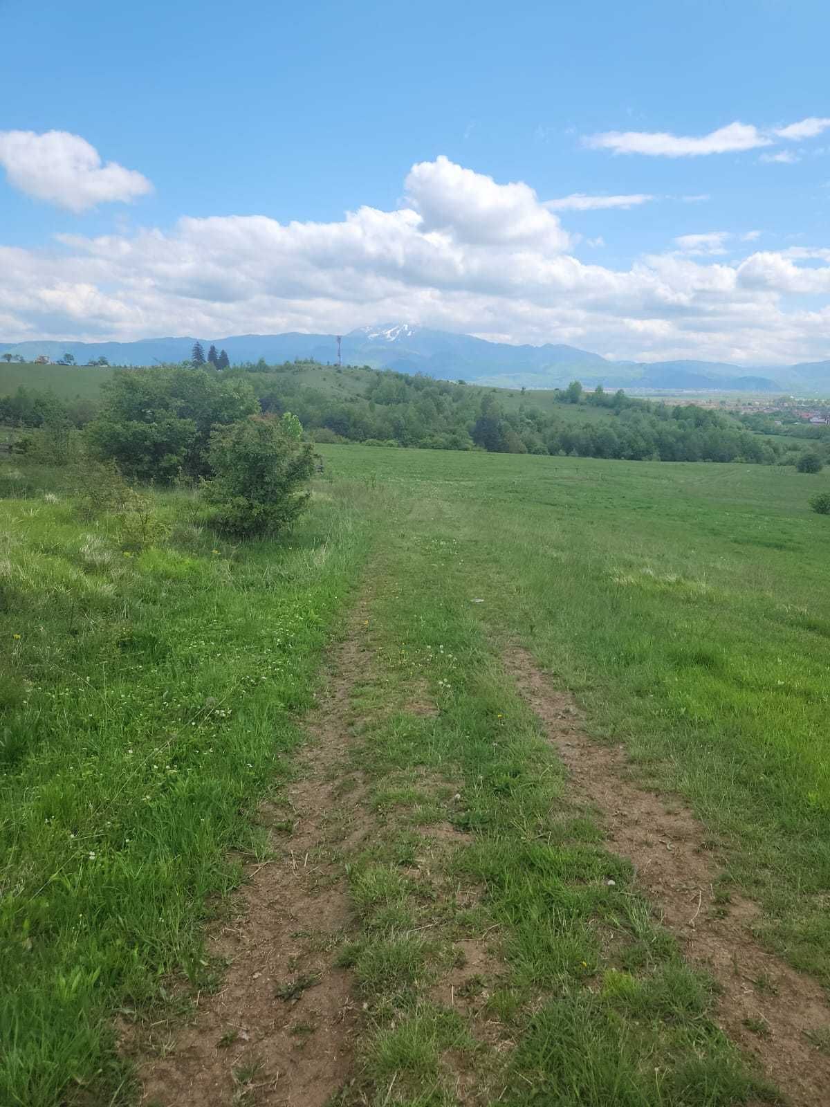 Teren 4200mp cu priveliste deosebita la 19km de Brasov