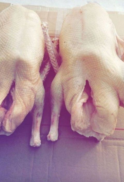 Гуси Петропавловские