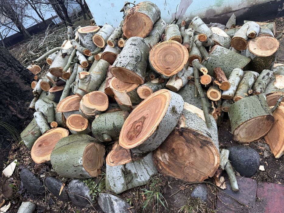 Продам лес, дрова , чурки