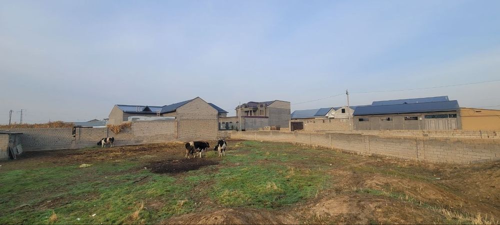 ЕР СОТИЛАДИ. 5 сотх.