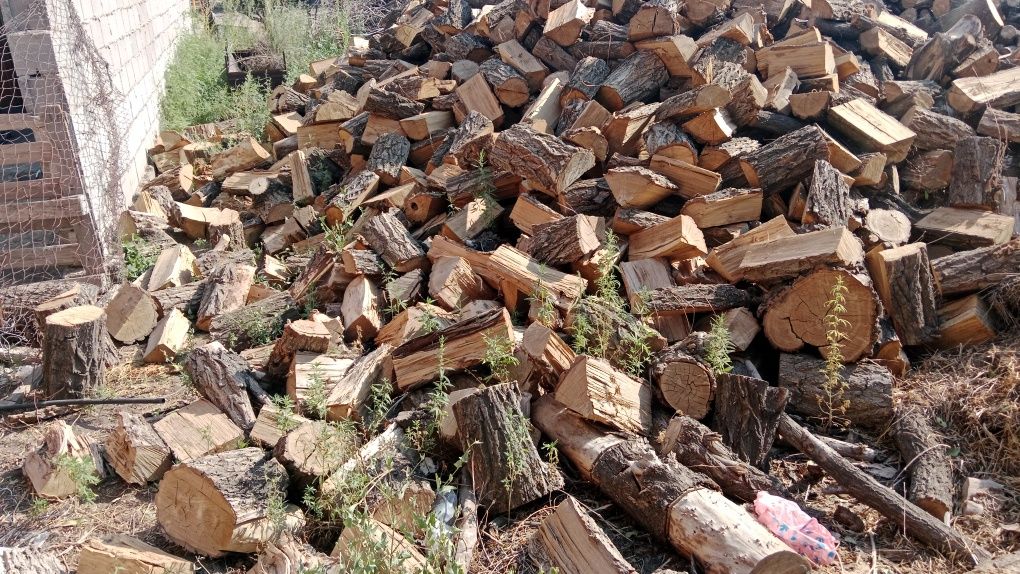 Продам дрова Карагач для шашлыка