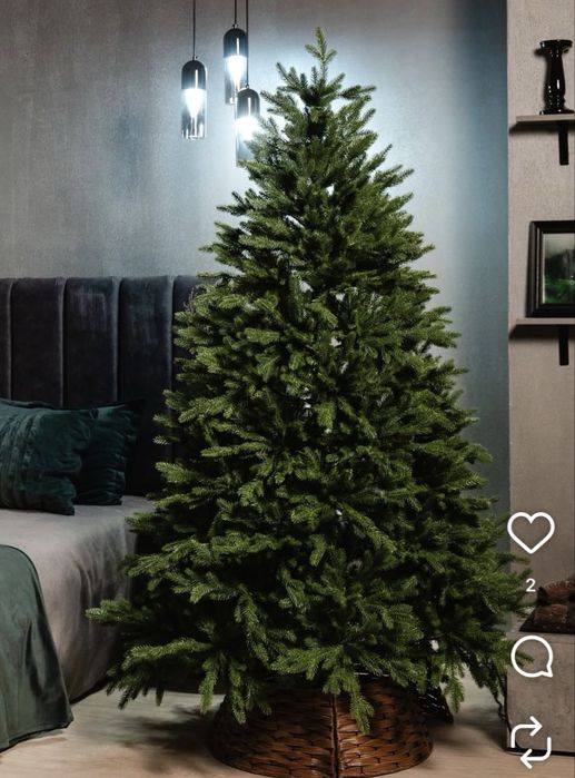 Ёлки на Новый год 2026