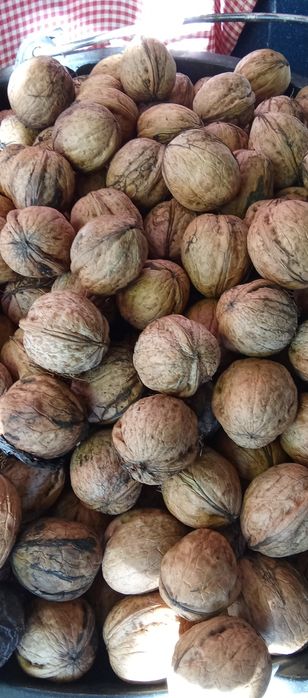 Орехи ядка , Био супер храна , Еко производство.
