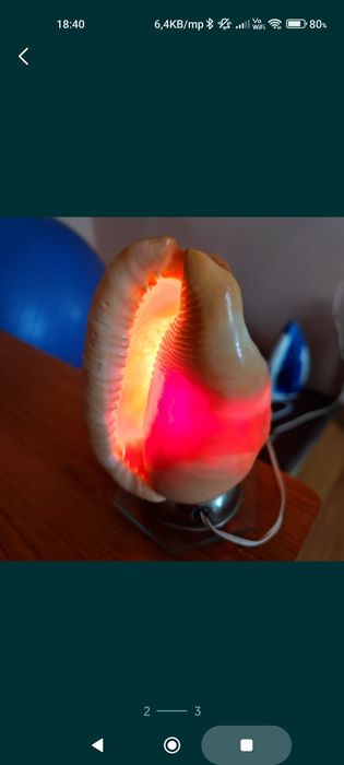 Vand lampa din scoica art deco