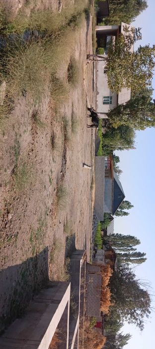 3 sotix uchastka sotiladi