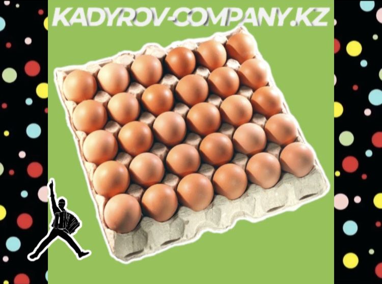 Инкубационные яйца бройлера ОПТОМ свежие ИЯ17