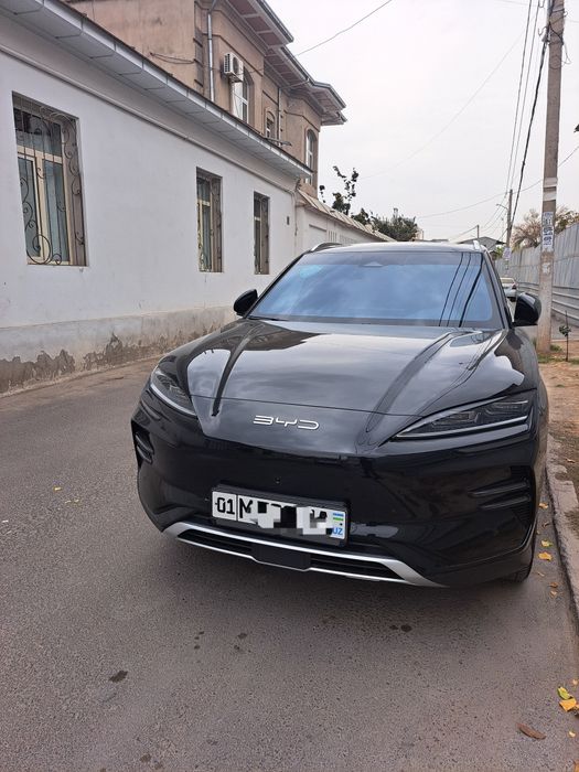 Chinpion   605  talik  flagship