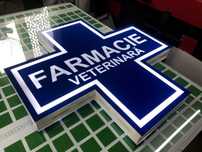 Cruce farmacie veterinara caseta indicator luminos