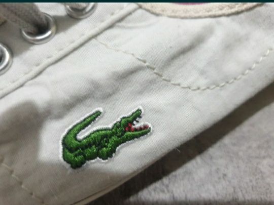 Tenesi 100% originali Lacoste albi 37