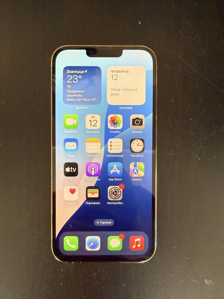 iPhone 13 Pro Max