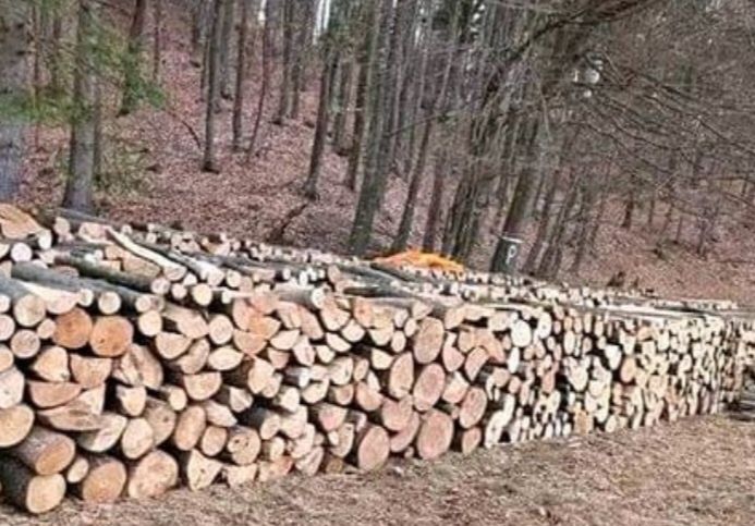 Vînd lemne de foc