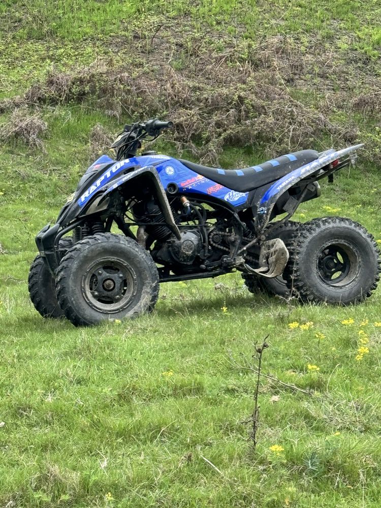 Yamaha raptor 350