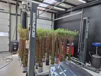 Vand elevator reihmann 4200 kg 2 coloane