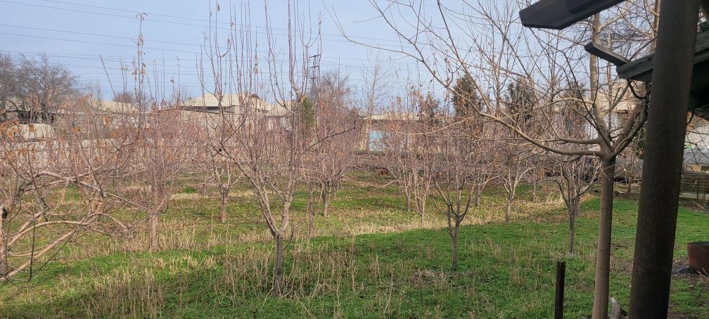 Hovli uy sotiladi