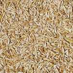 Vând ovăz, preț 1.5 lei/kg