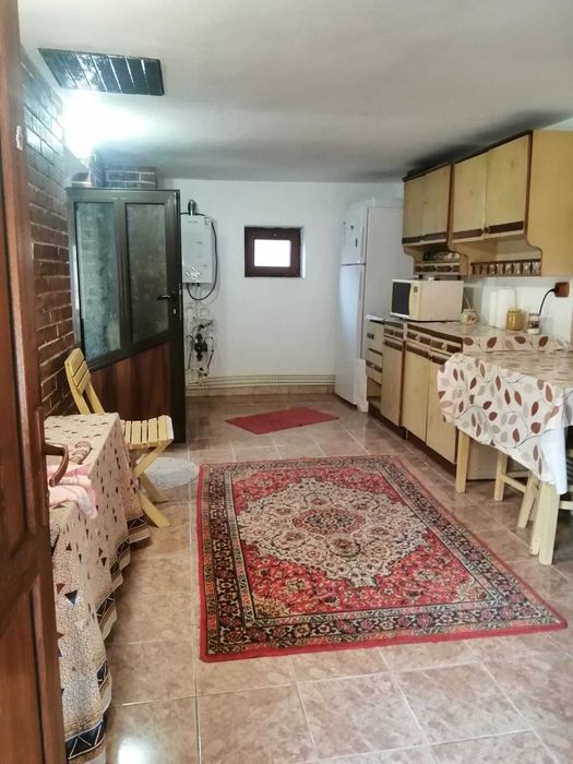 Vând casa in sat Teslui