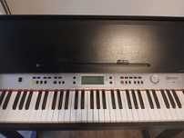 Vand Orga Electrică SCHUBERT Carnegy 61