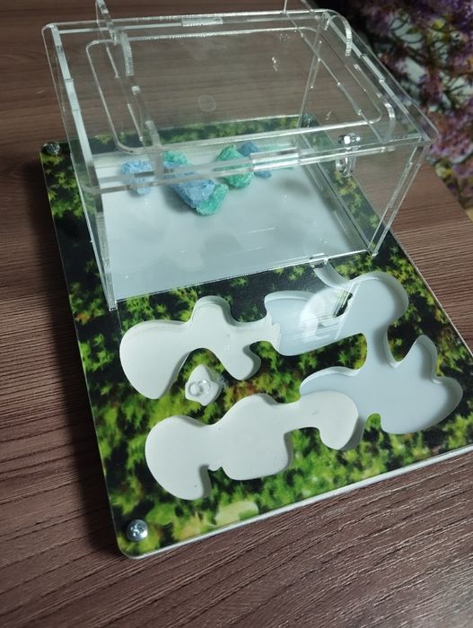 Готовая муравьиная ферма