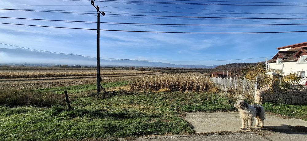 Vand teren intravilan strada Hunedoarei