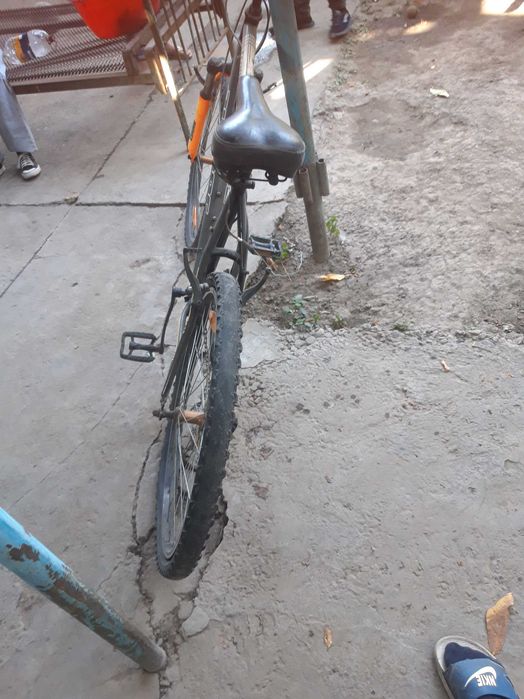 Велик author trophy