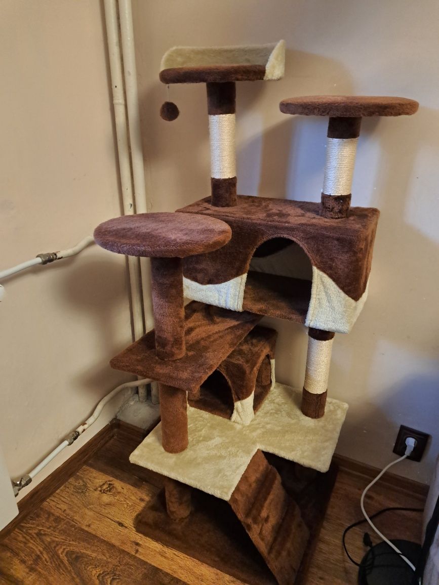 Котешка катерушка