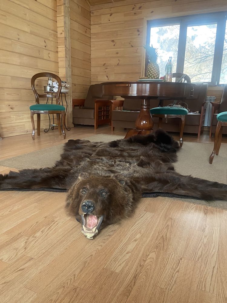 Продаю чучело медведя