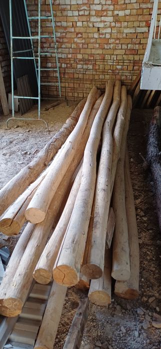 Тусин- болол сотилади