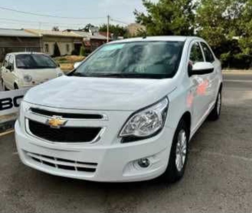 Cobalt stayl puls 2025