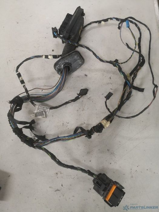 Instalatie electrica usa stanga fata BMW X3 (E83N) [ 2003 - 2011 ] xDrive 20 d (N47 D20 C) 120KW|163HP OEM 10055910