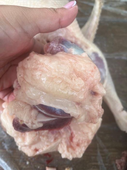 Қолдың қазы  ақтөбе