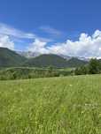 Teren 8.800 mp intravilan Peștera Moieciu vedere Bucegi-Piatra Craiulu