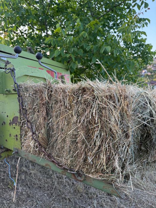 Vand Baloti paie fan calitate excelenta