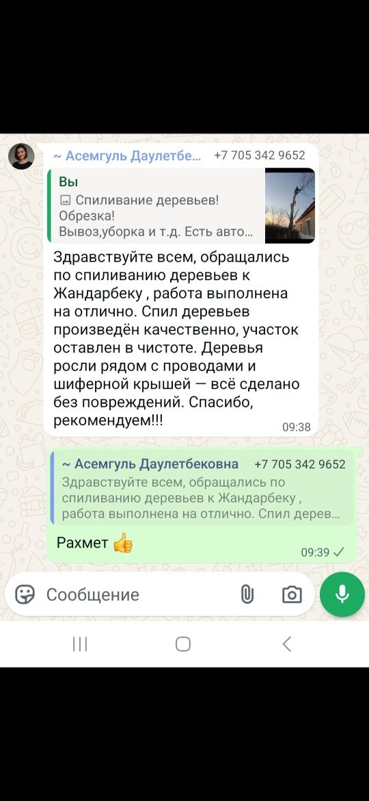 Спил деревьев обрезка