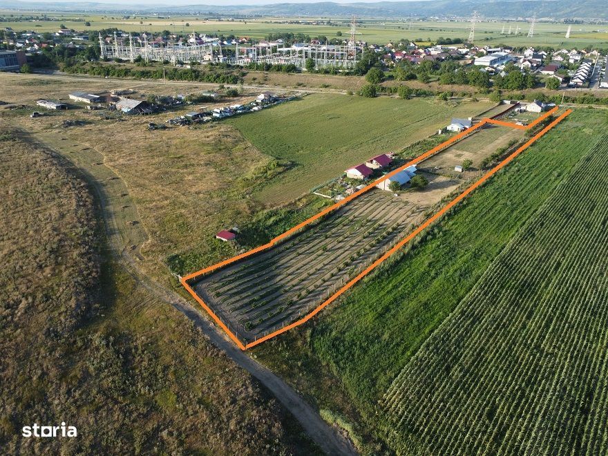 Casa Tip Cabana Letea Veche 5200 mp teren Livada Aluni