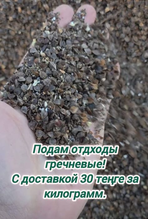 Продам отходы гречневых