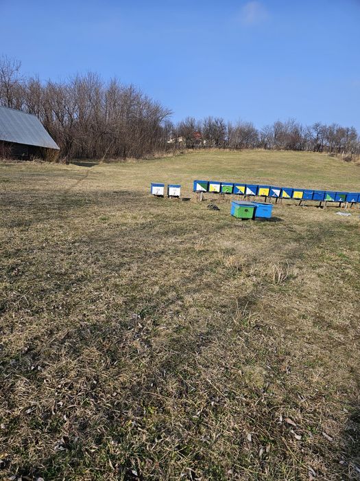 Teren intravilan 7000 mp – Comănești, Str. Dorobanți, zona Leorda, 15€