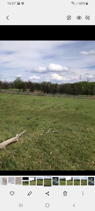 Teren de vânzare 2 hectare 142m² Coșevița jud.Timiș