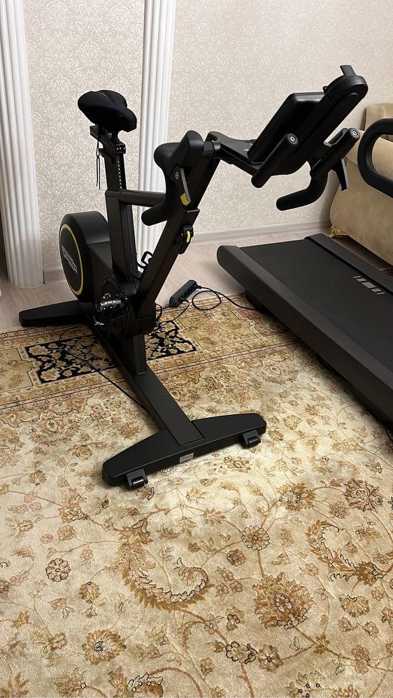 TechnoGym skillbike