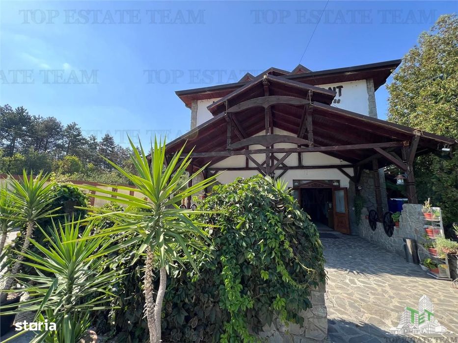 Spatiu Comercial, Hotel de inchiriat - Horeca, Hotel, langa padure Pan