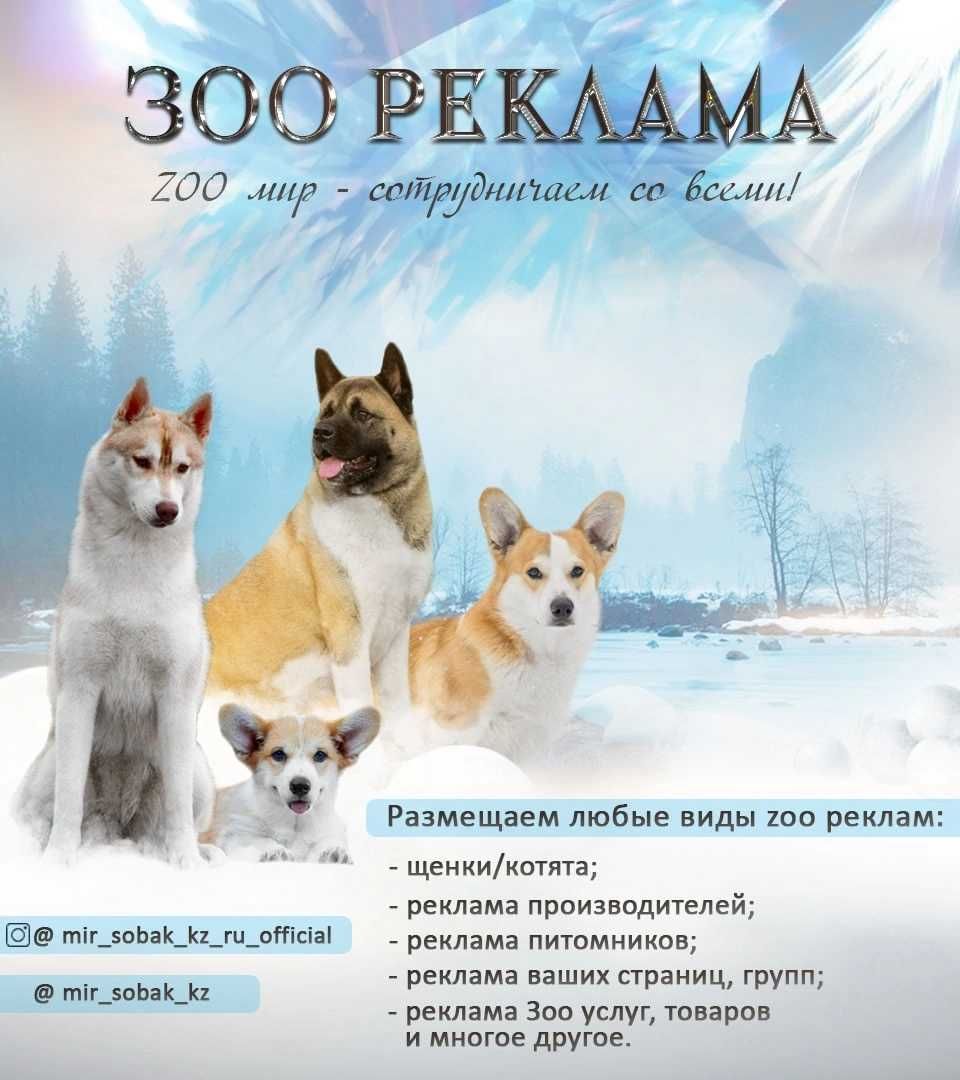 Ваша реклама пометов в соц сетях