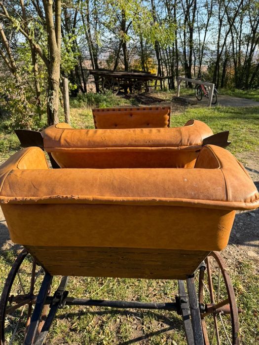 Trasura pentru un cal sau ponei