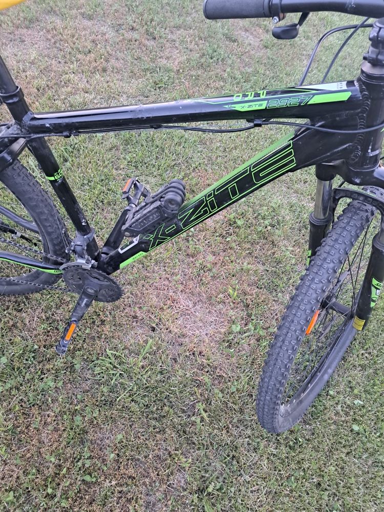 Bicicleta Adult