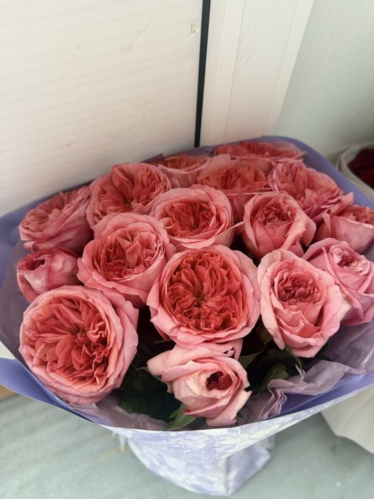 Свежие розы, розовый букет 17 шт 6000,   красный букет 21 шт 6000 тг