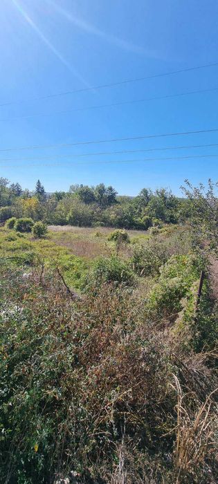 561-Продава се дворно място в местността "Арменски Лозя"!