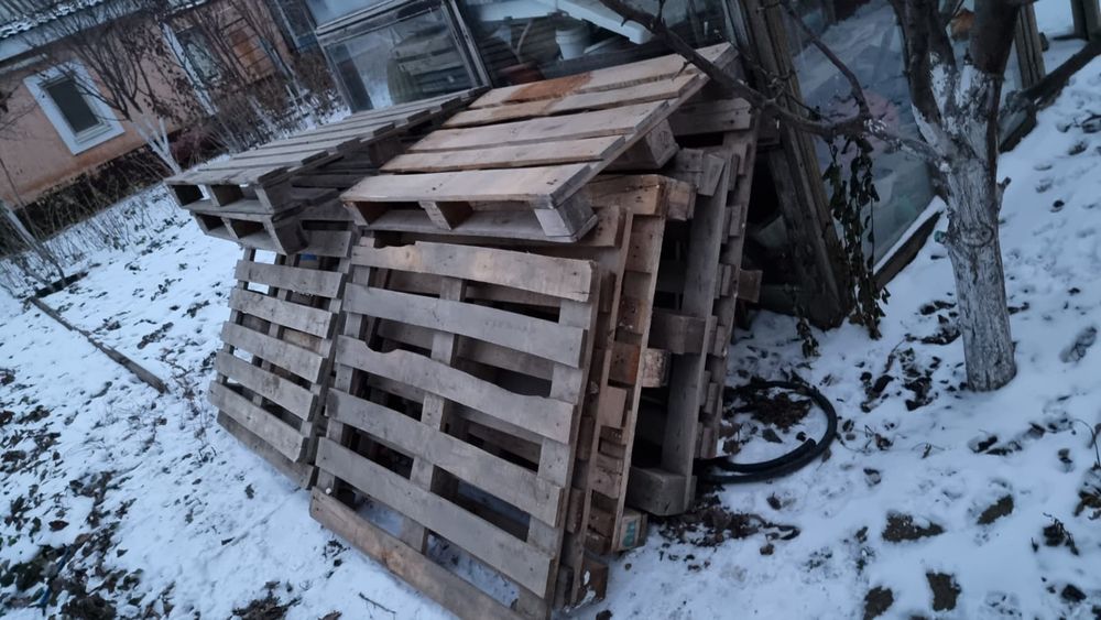 Продам подоны срочно.