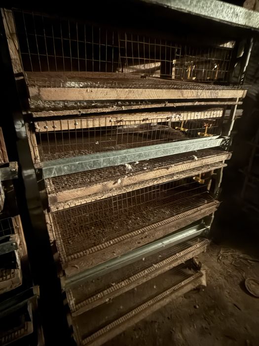 Перепилиные клетки