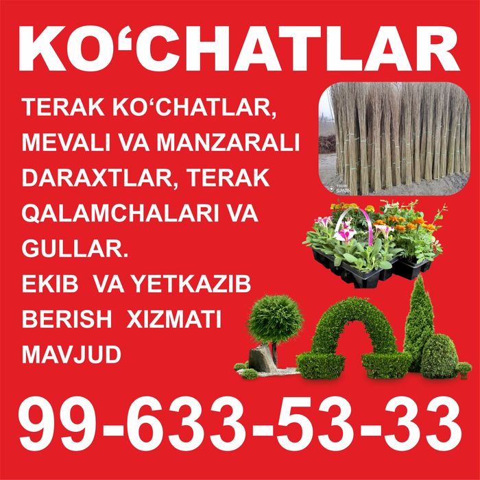 Мевали ва манзарали кучатлар