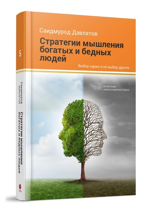 Стратегия мышления богатых и бедных людей Давлатов